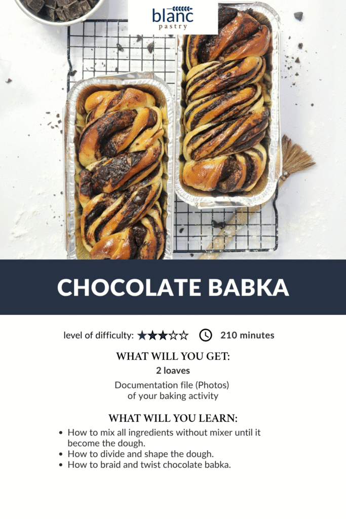 Chocolate Babka